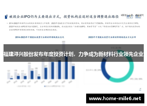 福建浔兴股份发布年度投资计划，力争成为新材料行业领先企业